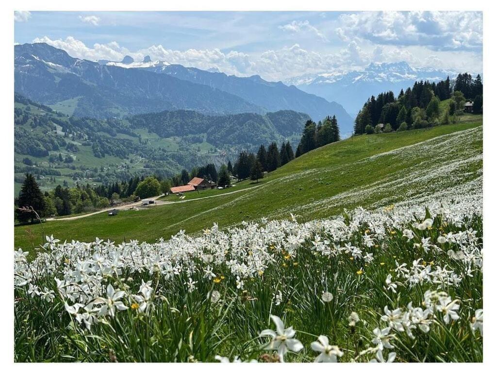 Вилла La Vigneronne, Tuin Блоне Экстерьер фото